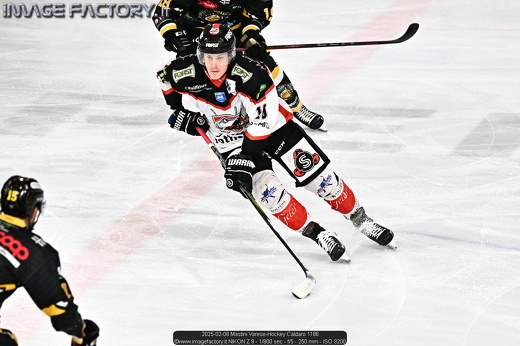 2025-02-08 Mastini Varese-Hockey Caldaro 1186